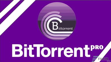 Bittorrent Pro V1.0.0 - A Torrent App For Fast And Efficient File Sharing And Downloading.