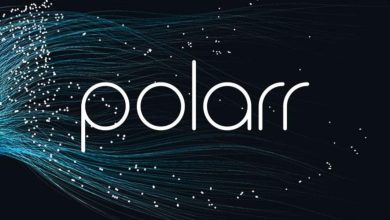 Polar Introduces A Cloud-Based Platform For Remote Work. Image: Polarr Logo With A Cloud Symbol In The Background.