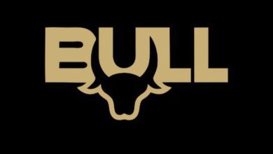 1. Logo Of A Bull On A Black Background, Representing 'Bull Originals'.