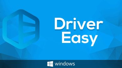 Driver Easy For Windows 10 - Driver Easy Professional Software Interface Showing Easy Driver Updates And Installations.