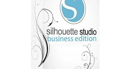 Silhouette Studio Business Edition Logo With Blue Circle In Center.