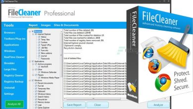 1. Webminds Filecleaner Pro Logo - A Professional File Cleaner For Efficient And Thorough System Cleanup.