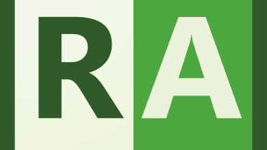 A Square Icon Split Into Two Vertical Halves. The Left Half Is White With A Large Green &Quot;R&Quot;, Representing Radiant Dicom Viewer V2024.1, And The Right Half Is Green With A Large White &Quot;A&Quot;. The Background Of The Entire Icon Has A Dark Green Border.