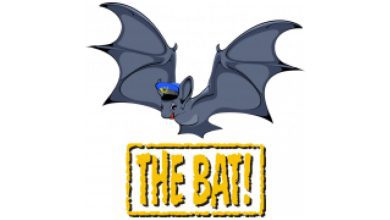 A Cartoon Bat Wearing A Blue Pilot Hat Flies Above A Distressed Yellow Sign That Reads, &Quot;The Bat Professional!&Quot; The Bat Appears Cheerful, With Outstretched Wings.