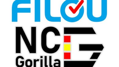 Logos Of Two Different Software Tools. The Top Logo Reads &Quot;Filou&Quot; In Blue, With The Letter &Quot;O&Quot; Styled With A Checkmark Inside. The Bottom Logo Reads &Quot;Nc-Gorilla&Quot; In Black And Red, Creatively Arranged With Three Horizontal Stripes. These Visuals Represent The Filou Nc Gorilla Suite By Khanpc.