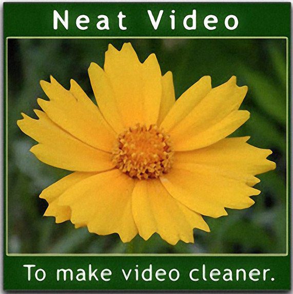 A Yellow Flower With A Green Background Is Surrounded By A Green Border. The Text At The Top Reads &Quot;Neat Video Pro,&Quot; And At The Bottom, It Says, &Quot;To Make Video Cleaner.&Quot; Perfect For Davinci Resolve Enthusiasts.